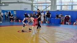 Турнир по вольной борьбе на призы Чемпиона России Сергея Павловича Ноздрачева прошёл в Северном