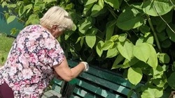 Благоустройство Белгородского округа продолжается