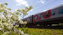 Экскурсионные поезда Белгородской области перевезли в 2022 году около 7500 пассажиров