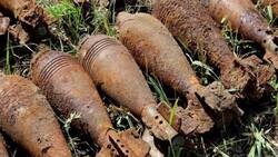 Грибники обнаружили в лесу в Белгородском районе мины и снаряды