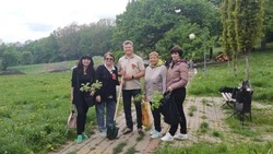 Жители Дубовского поселения стали участниками Международной акции «Сад памяти»
