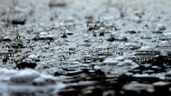 Кратковременные дожди придут в Белгородскую область 31 марта