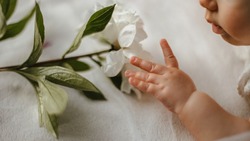 Более восьми тыс. белгородских семей получили единовременную выплату при рождении ребёнка