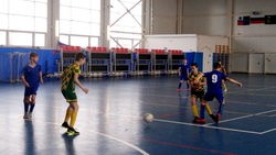 Игра Первенства области по мини-футболу прошла в Северном Белгородского района
