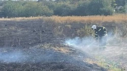 Белгородские огнеборцы ликвидировали семь пожаров на территории региона за минувшие сутки