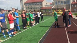 Первенство детско-юношеской спортивной школы по футболу прошло в Белгородском районе