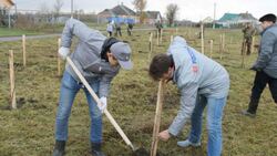 Активисты высадили 200 лип в Белгородском районе
