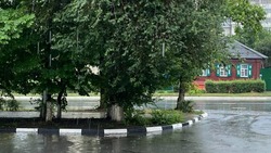 Кратковременные дожди ожидаются в Белгородской области 6 мая