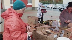 Традиционные ярмарки прошли в Белгородском районе