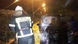 Белгородские огнеборцы ликвидировали 35 пожаров на территории региона за прошедшую неделю