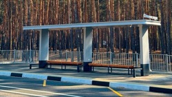 Более 50 новых автобусных остановок появились на дорогах Белгородской области в 2024 году