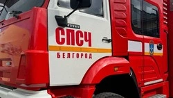 Белгородские пожарно-спасательные подразделения выезжали 51 раз за прошедшую неделю