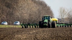 Белгородские производители зерна получат 233 млн рублей от федерального правительства