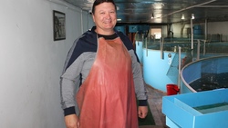 Александр Дорошев занялся выращиванием ценных пород рыб в Белгородском районе