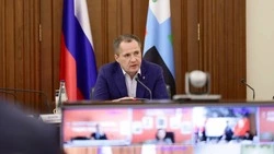 Вячеслав Гладков ответил на вопрос о своём втором губернаторском сроке 