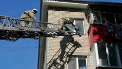 Спасатели помогли коту спуститься с высокого дерева в Яковлево
