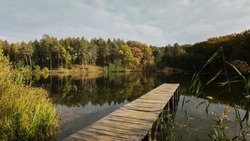 Вячеслав Гладков сообщил о начале работ по очистке русел рек и водоёмов в Белгородской области