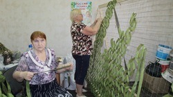 Волонтёры «Химера Белгород» Дубовского поселения рассказали о своей деятельности 