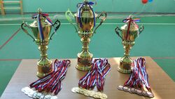 Спортивный фестиваль на Кубок АПК прошёл в Белгородском районе