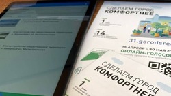 Белгородцы смогут проголосовать за объекты благоустройства общественных территорий до 30 мая 