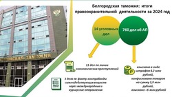 Белгородская таможня поделилась итогами правоохранительной деятельности за 2024 год