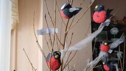 Акция «Покормите птиц зимой» прошла в Зелёной Поляне Белгородского района