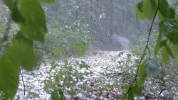 Сильный дождь пройдёт в Белгородской области 2 июля