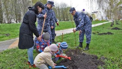 Белгородские росгвардейцы присоединились к международной патриотической акции «Сад памяти»