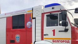 Белгородские огнеборцы ликвидировали три пожара за минувшие сутки