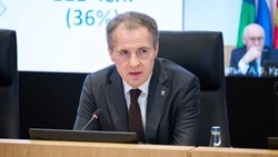 Вячеслав Гладков рассказал о планах по созданию хосписов для взрослых в регионе