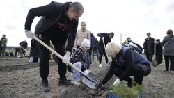 Вячеслав Гладков поучаствовал в акции «Сад памяти»