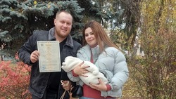 Более 8500 малышей появились на свет в Белгородской области с начала 2024 года