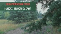 Пожароопасный сезон завершился в Белгородской области
