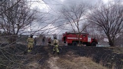 Белгородские спасатели 14 раз выезжали на ликвидацию горения сухой травы в регионе за минувшие сутки