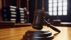 Двое жителей Борисовского района осуждены за незаконное приобретение и хранение взрывчатых веществ