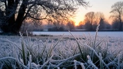Мокрый снег и мороз ожидают белгородцев в воскресенье 