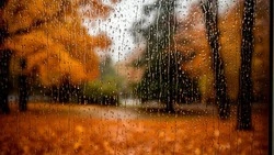 Порывы ветра до 12 м/с и облачная с прояснениями погода придут в Белгородскую область в воскресенье 