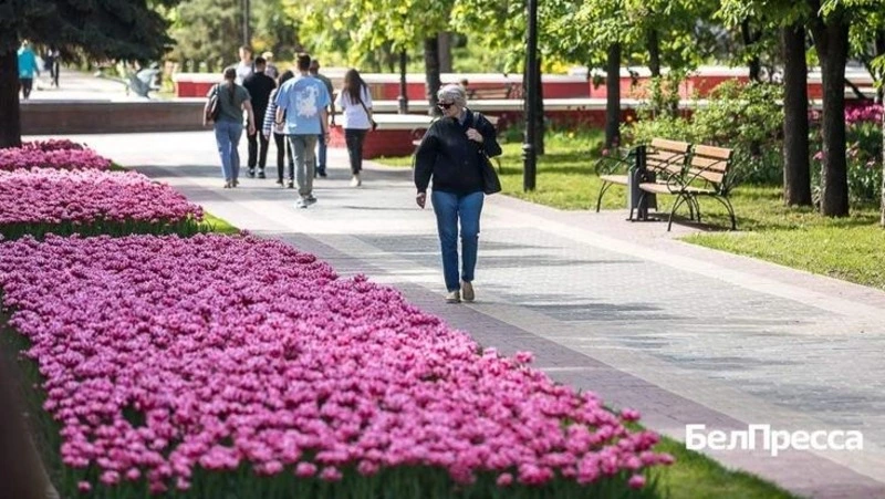 Белгородцы смогут отдать свой голос за объекты благоустройства