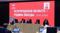 Вячеслав Гладков: «Более 100 тыс. человек поучаствовали в месячнике добровольного служения области»