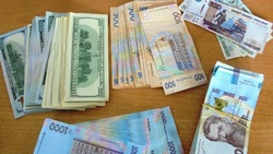 Сотрудники Белгородской таможни предотвратили два случая вывоза валюты из России