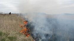 Белгородские поджигатели травы заплатят 22 млн рублей