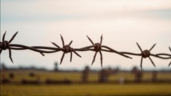 Уроженец Ленинграда был задержан в Белгородской области при попытке пересечения госграницы