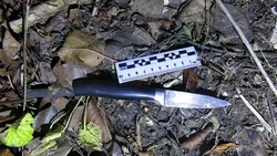 Житель Белгородского района подозревается в повреждении имущества бывшей сожительницы