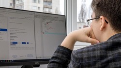 Минобр напомнил условия авторизации белгородских школьников в системе «Виртуальная школа»