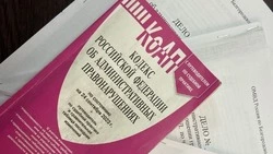 Марина Курлова – о проведении оперативно-профилактического мероприятия «Должник» в районе