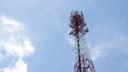 560 жителей Белгородской области проголосовали за выбор мест установки вышек сотовой связи