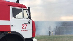 Белгородские огнеборцы ликвидировали 99 случаев загорания сухой растительности