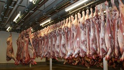 Белгородские предприятия отправили на экспорт 46 тысяч тонн животноводческой продукции