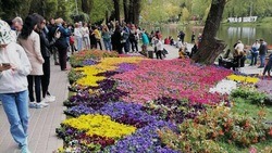 Власти региона вновь организовали фестиваль «Белгородское лето» для жителей и гостей области 
