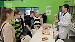 Школьники Белгородского района посетили Корочанский сельскохозяйственный техникум